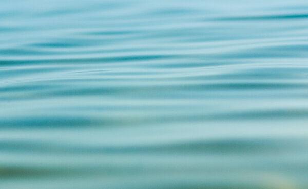 /Magazine/2021/August/600x370_25 (1).jpg